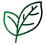 Why You Should Choose AaryaVedic Essentials? image 5