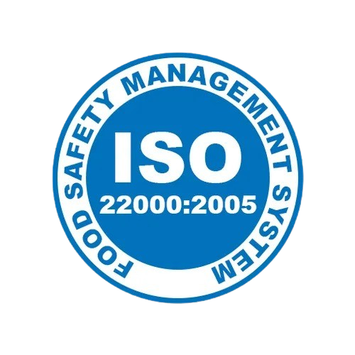 ISO icon logo symbol